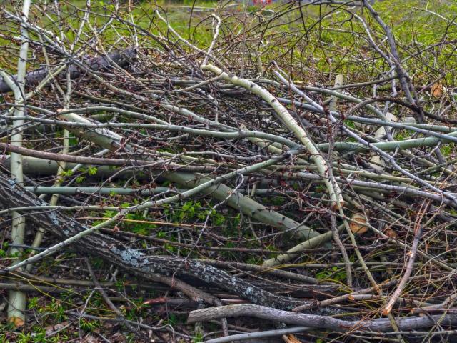 Terreno in vendita a Unione Montana Alpi Graie, Piemonte