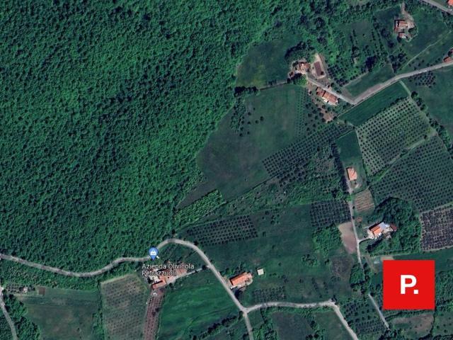 Terreno in vendita a Ruviano, Campania