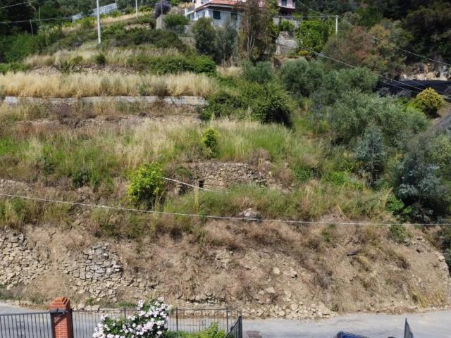 Terreno in vendita a San Biagio Della Cima, Liguria