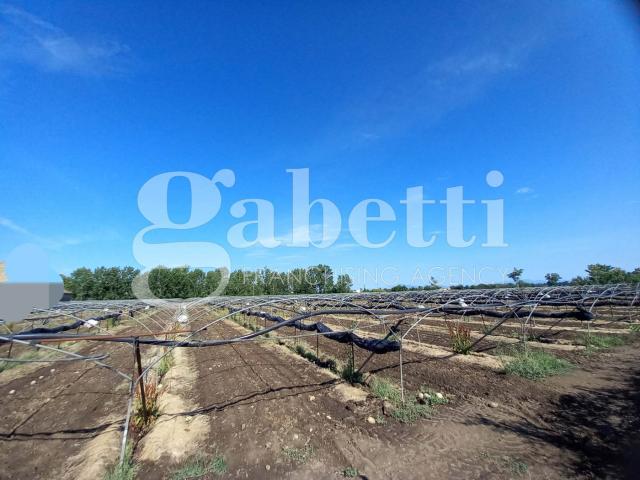 Terreno in vendita a San Marcellino, Campania