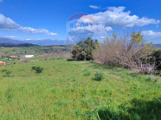 Terreno in vendita a Calabria, Cosenza