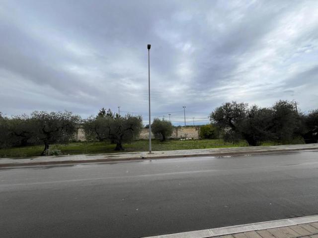 Terreno in vendita a Puglia, Foggia