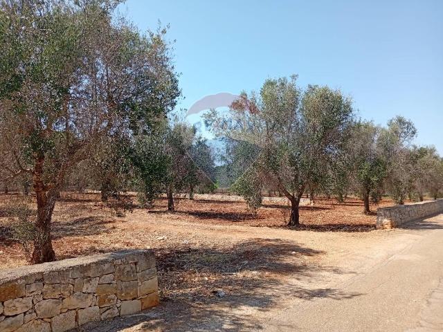 Terreno in vendita a Puglia, Brindisi