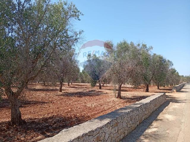 Terreno in vendita a Puglia, Brindisi