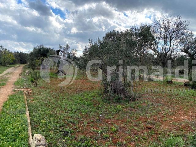 Terreno in vendita a Puglia, Lecce