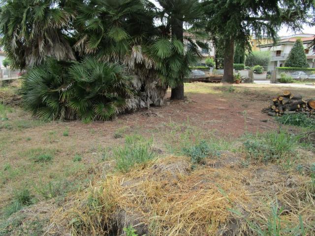 Terreno in vendita a Santa Croce sull'Arno, Pisa