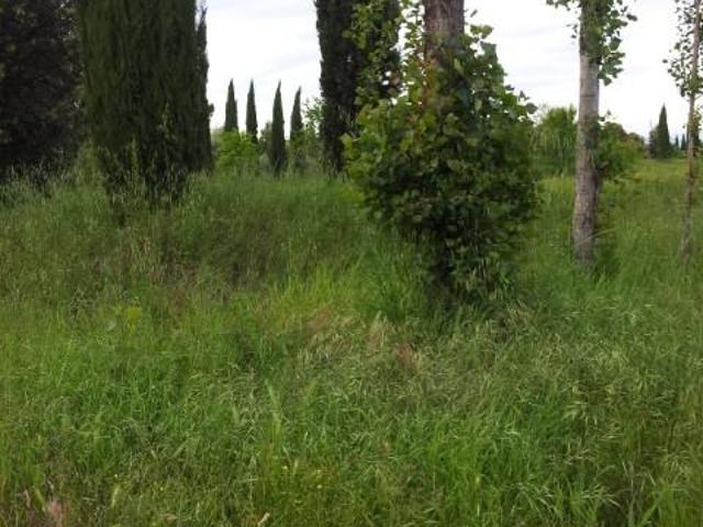 Terreno in vendita a Santa Croce sull'Arno, Pisa