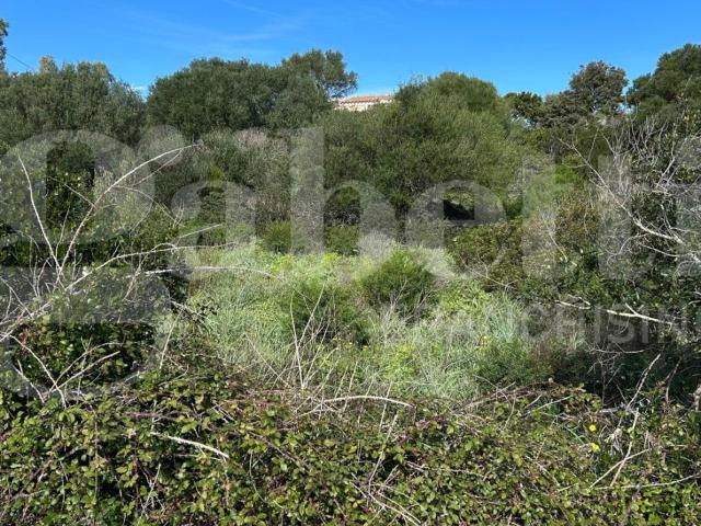 Terreno in vendita a Santa Teresa Gallura, Sardigna/Sardegna
