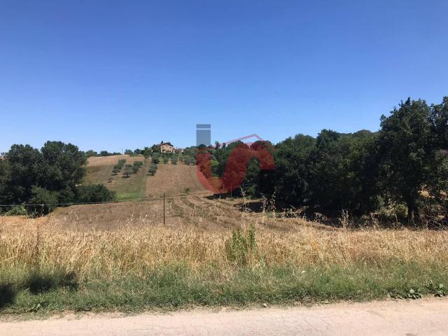 Terreno in vendita a Sant'angelo A Cupolo, Campania