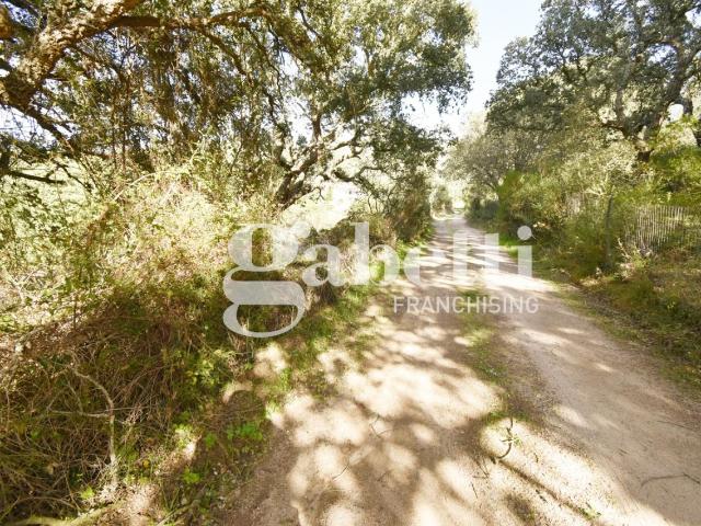 Terreno in vendita a Sant'antonio Di Gallura, Sardigna/Sardegna