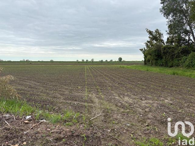 Terreno in vendita a Sant'urbano, Veneto