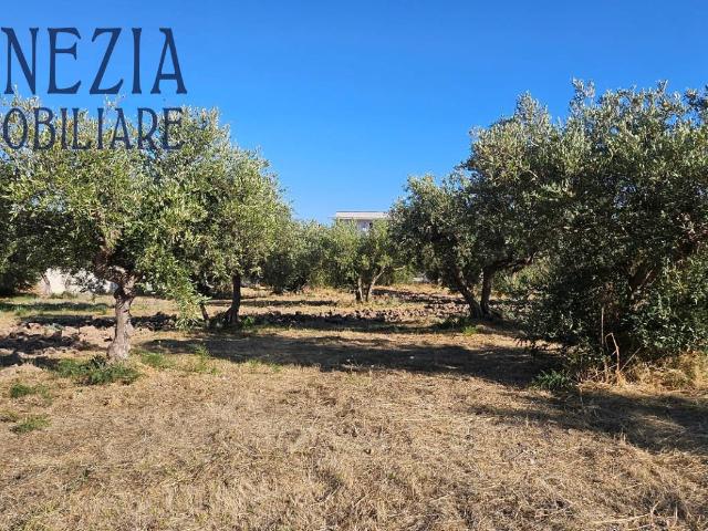 Terreno in vendita a Sciacca, Sicilia