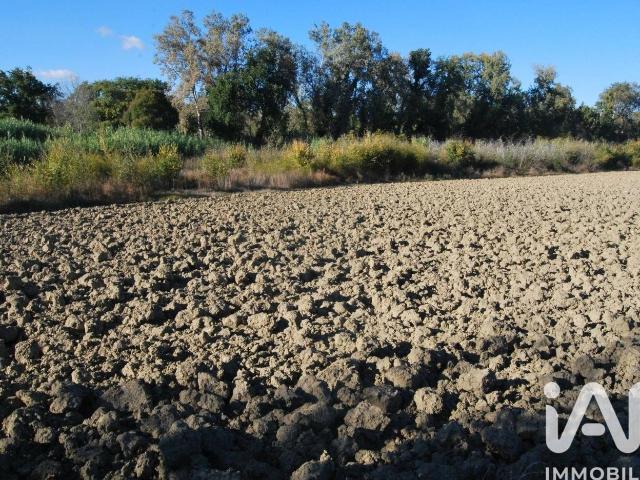 Terreno in vendita a Borgo Molino, Marche