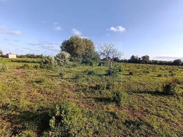 Terreno in vendita a Santa Lucia, Siracusa
