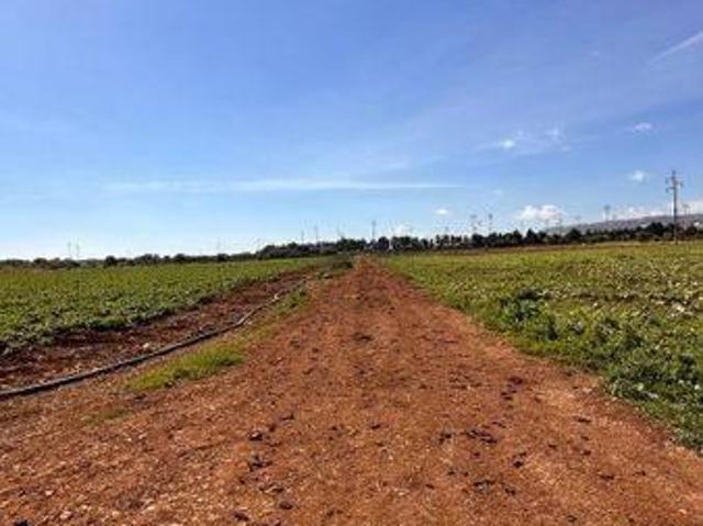 Terreno in vendita a Siracusa, Sicilia
