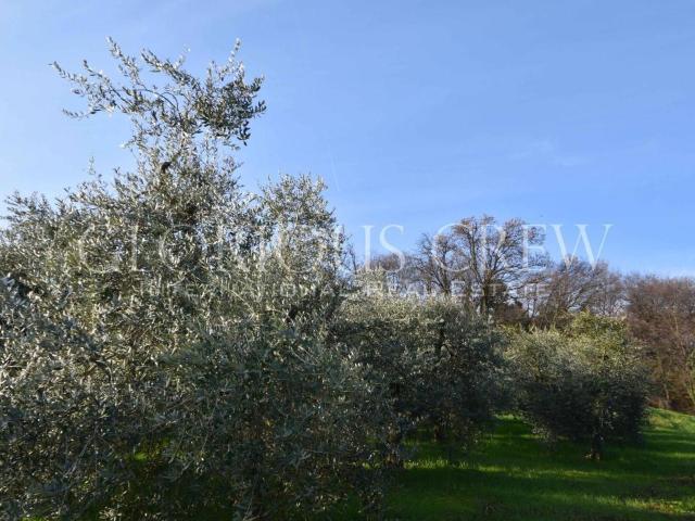 Terreno in vendita a Soiano Del Lago, Lombardia