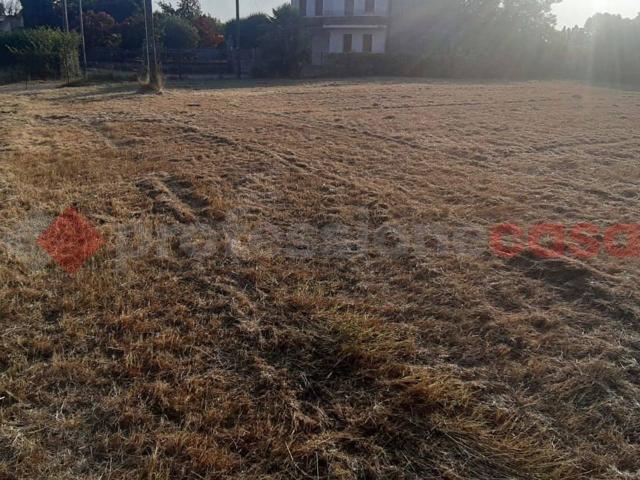 Terreno in vendita a Solesino, Veneto