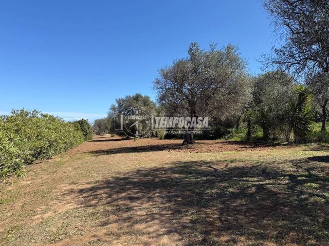 Terreno in vendita a Sorso, Sardigna/Sardegna