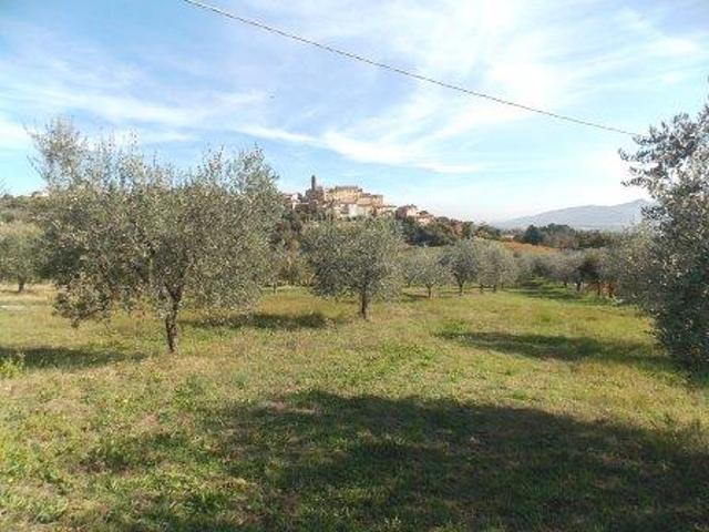 Terreno in vendita a Marche, Ascoli Piceno