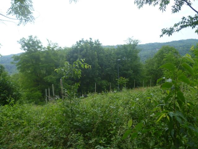 Terreno in vendita a Piemonte, Torino