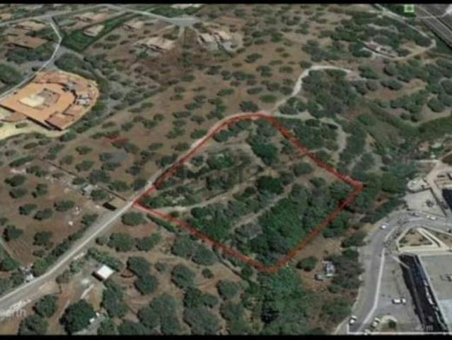Terreno in vendita a Termini Imerese, Sicilia