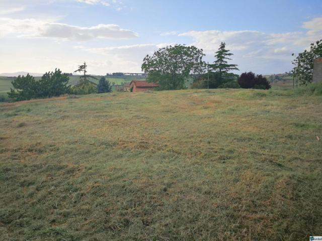 Terreno in vendita a Terricciola, Toscana