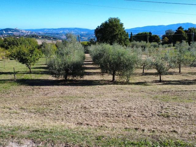 Terreno in vendita a Romazzano, Todi