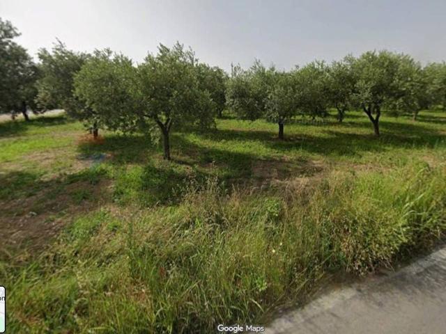 Terreno in vendita a Torrevecchia Teatina, Abruzzo