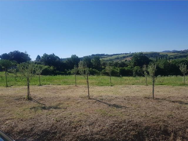Terreno in vendita a Torrita, Toscana