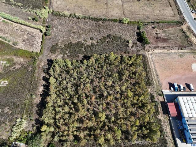 Terreno in vendita a Tortolì, Sardigna/Sardegna