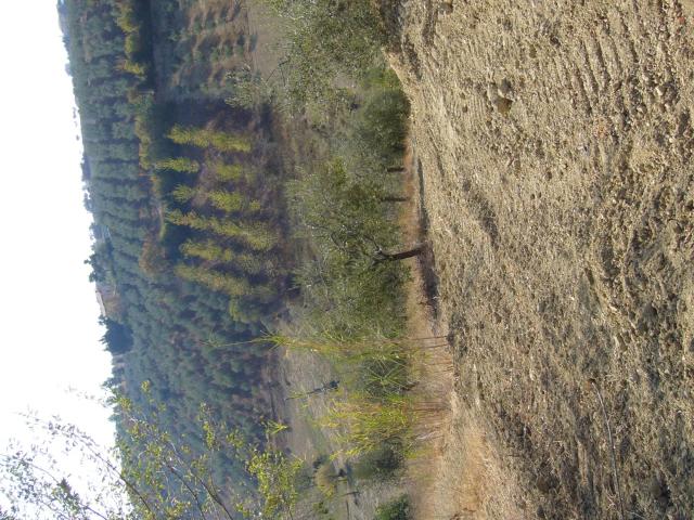Terreno in vendita a Colle San Giovanni, Tortoreto