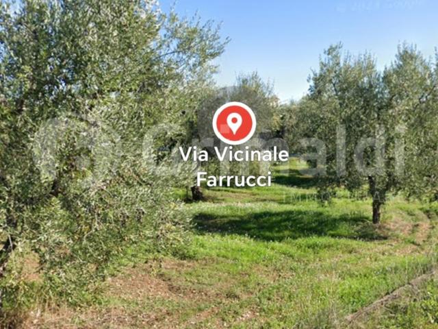 Terreno in vendita a Puglia, Barletta-andria-trani