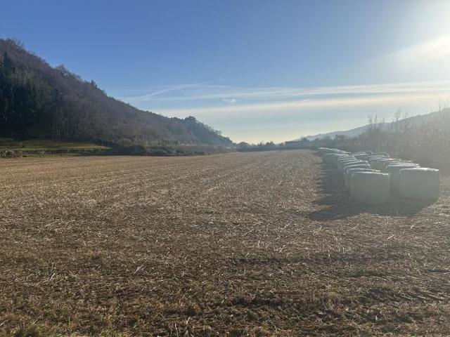 Terreno in vendita a Tregnago, Veneto