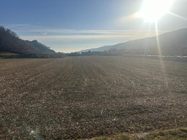 Terreno in vendita a Tregnago, Veneto
