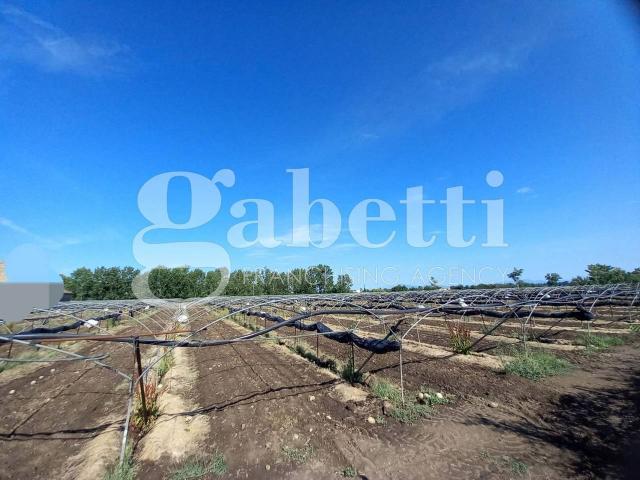 Terreno in vendita a San Marcellino, Campania