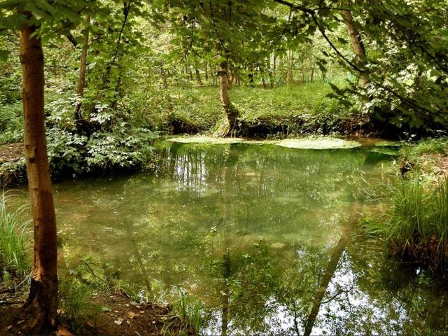 Terreno in vendita a Treviso, Veneto