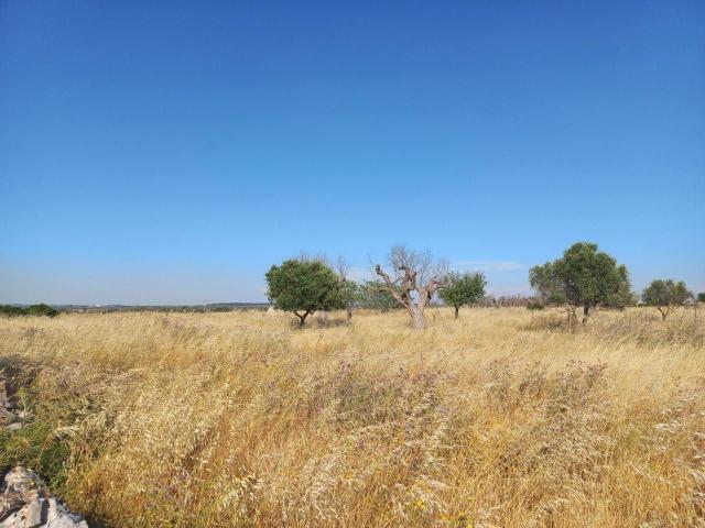 Terreno in vendita a Ugento, Lecce
