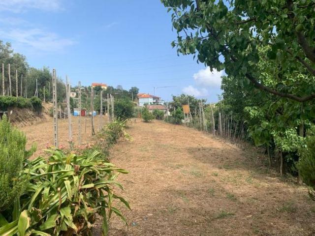 Terreno in vendita a Vado Ligure, Liguria