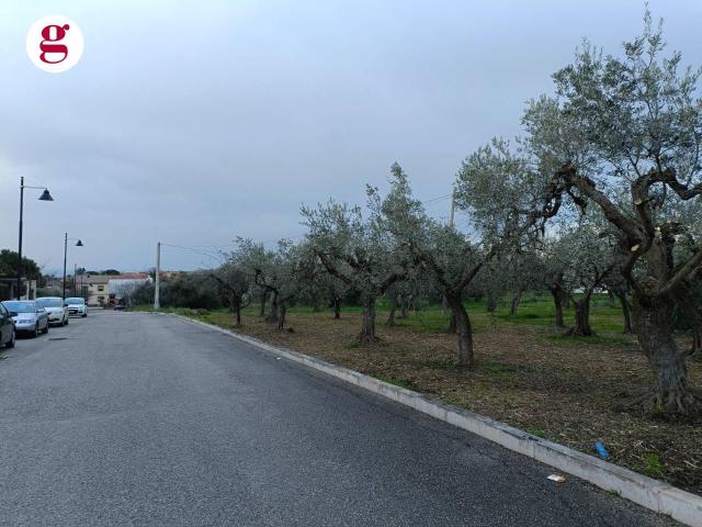 Terreno in vendita a Vasto, Abruzzo