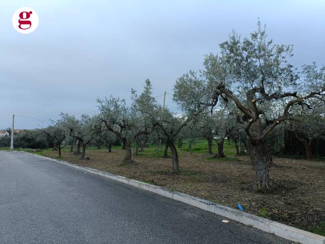 Terreno in vendita a Vasto, Abruzzo