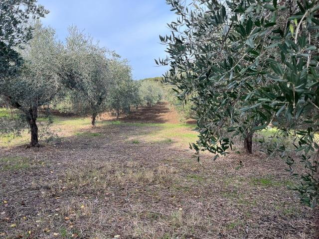 Terreno in vendita a Passo della Noce, Vasto