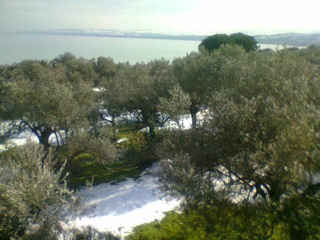 Terreno in vendita a Torricella, Vasto