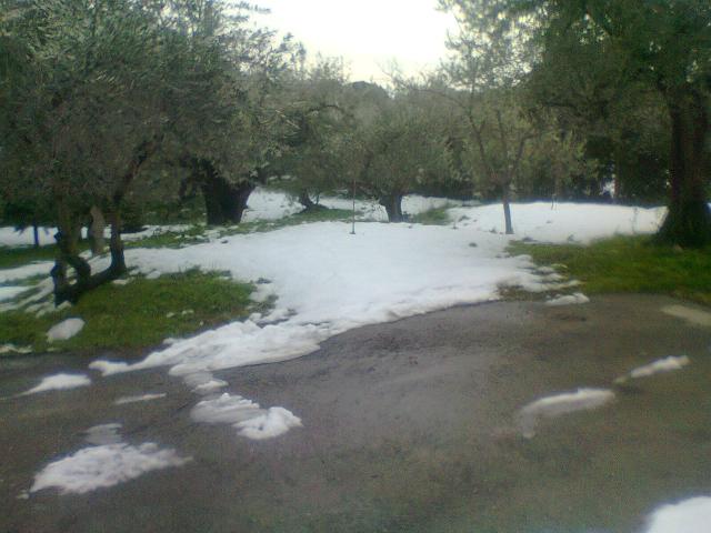 Terreno in vendita a Torricella, Vasto