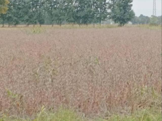 Terreno in vendita a Mestre-Carpenedo, Mogliano Veneto