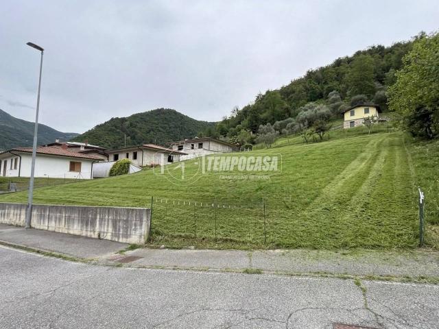 Terreno in vendita a Viadanica, Lombardia