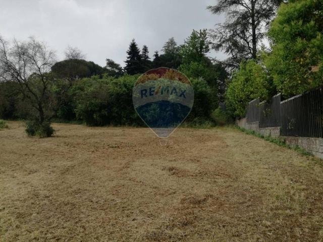Terreno in vendita a Maregnano, Vignanello