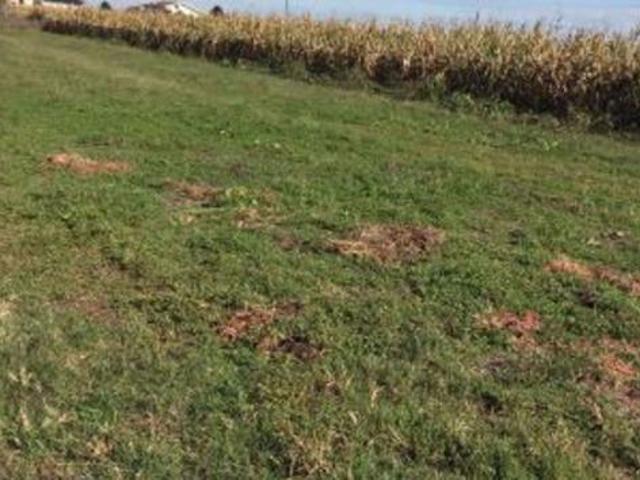 Terreno in vendita a Piemonte, Vercelli
