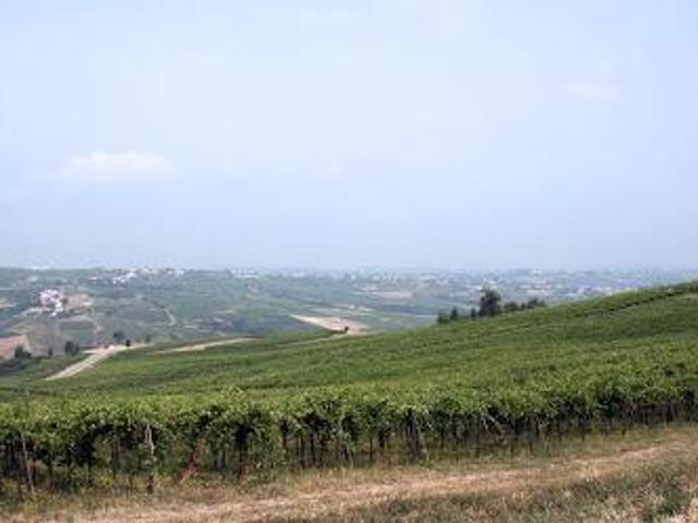 Terreno in vendita a Ziano Piacentino, Reggio Emilia