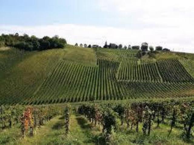 Terreno in vendita a Ziano Piacentino, Reggio Emilia