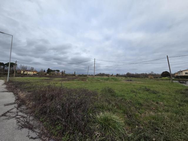 Terreno in vendita a Castelfranco Di Sotto, Toscana